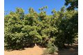Additional image 44 of 700 Wellsford Rd, Modesto, CA, 95357