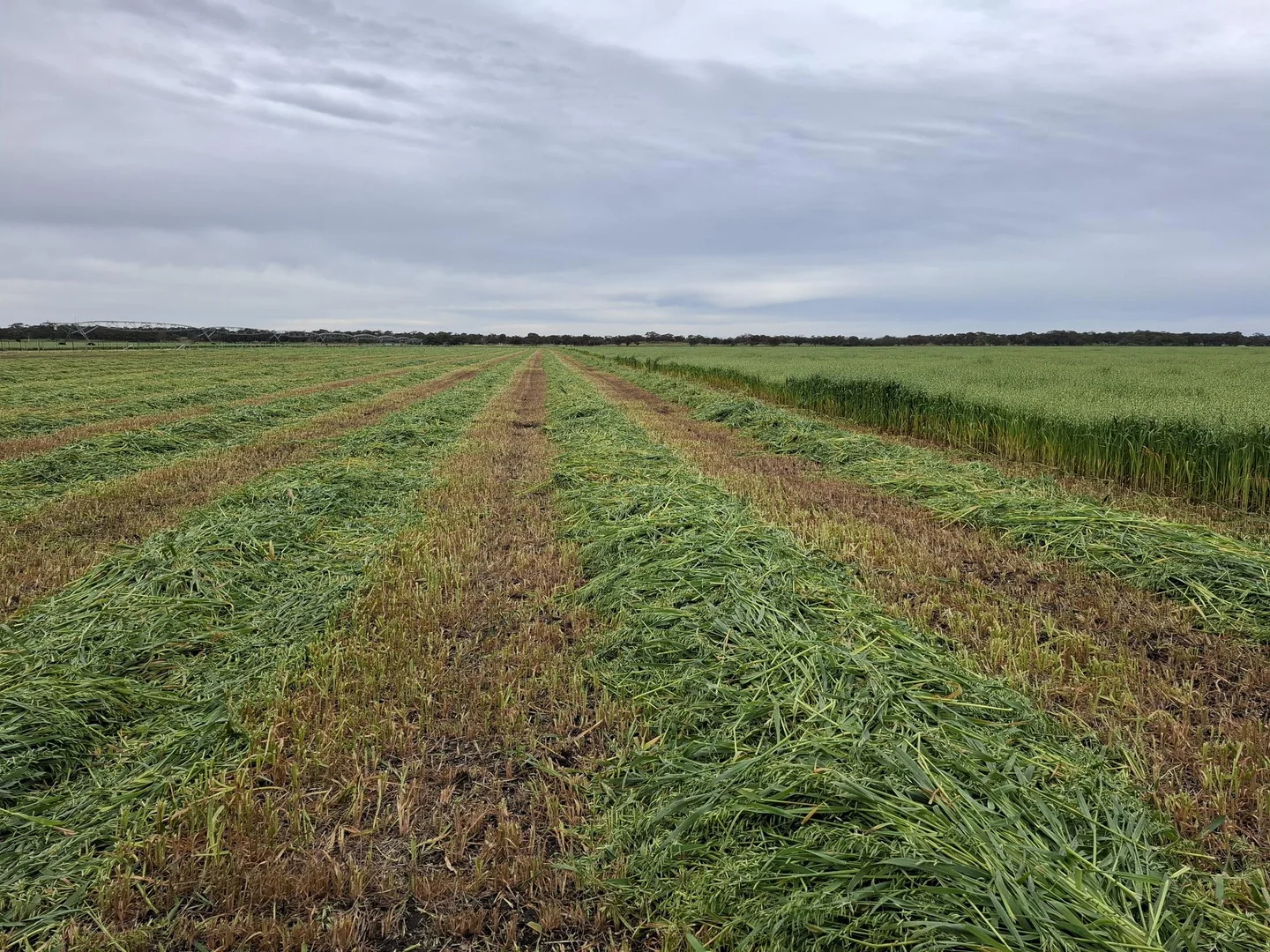 Additional image 8 of Sec 35 Mail Bridge Road, Kingston Se SA 5275