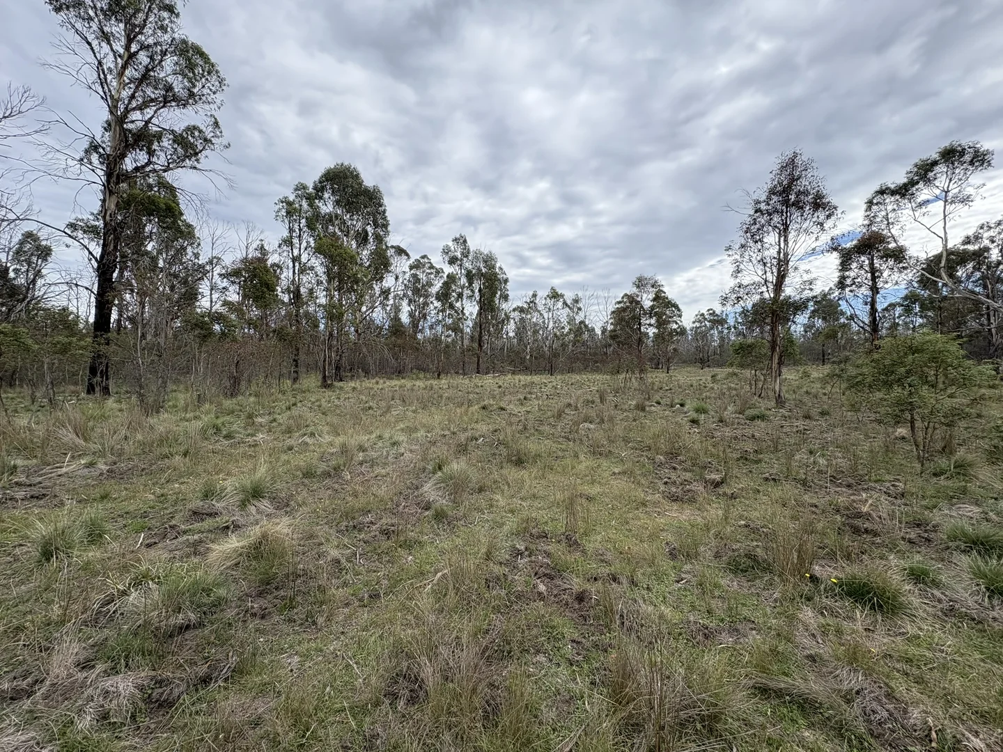 Additional image 11 of Lot 97/97, 175 Tumbledown Road, Peak View NSW 2630