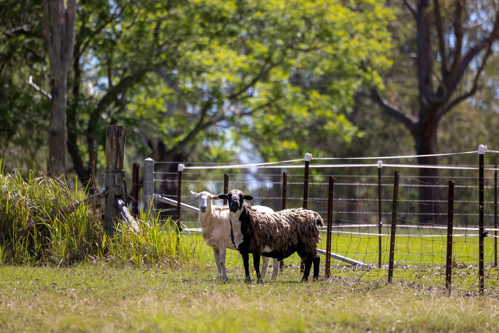 Additional image 4 of 316 Lansdowne Road, Cundletown NSW 2430
