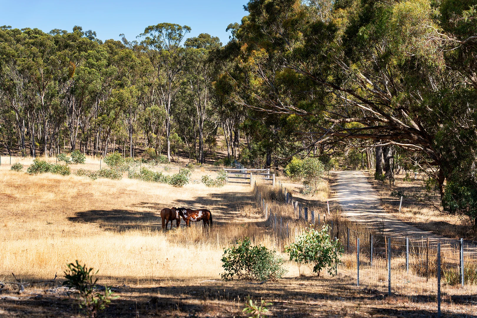 Additional image 3 of 50 Galaxia Lane, Guildford VIC 3451