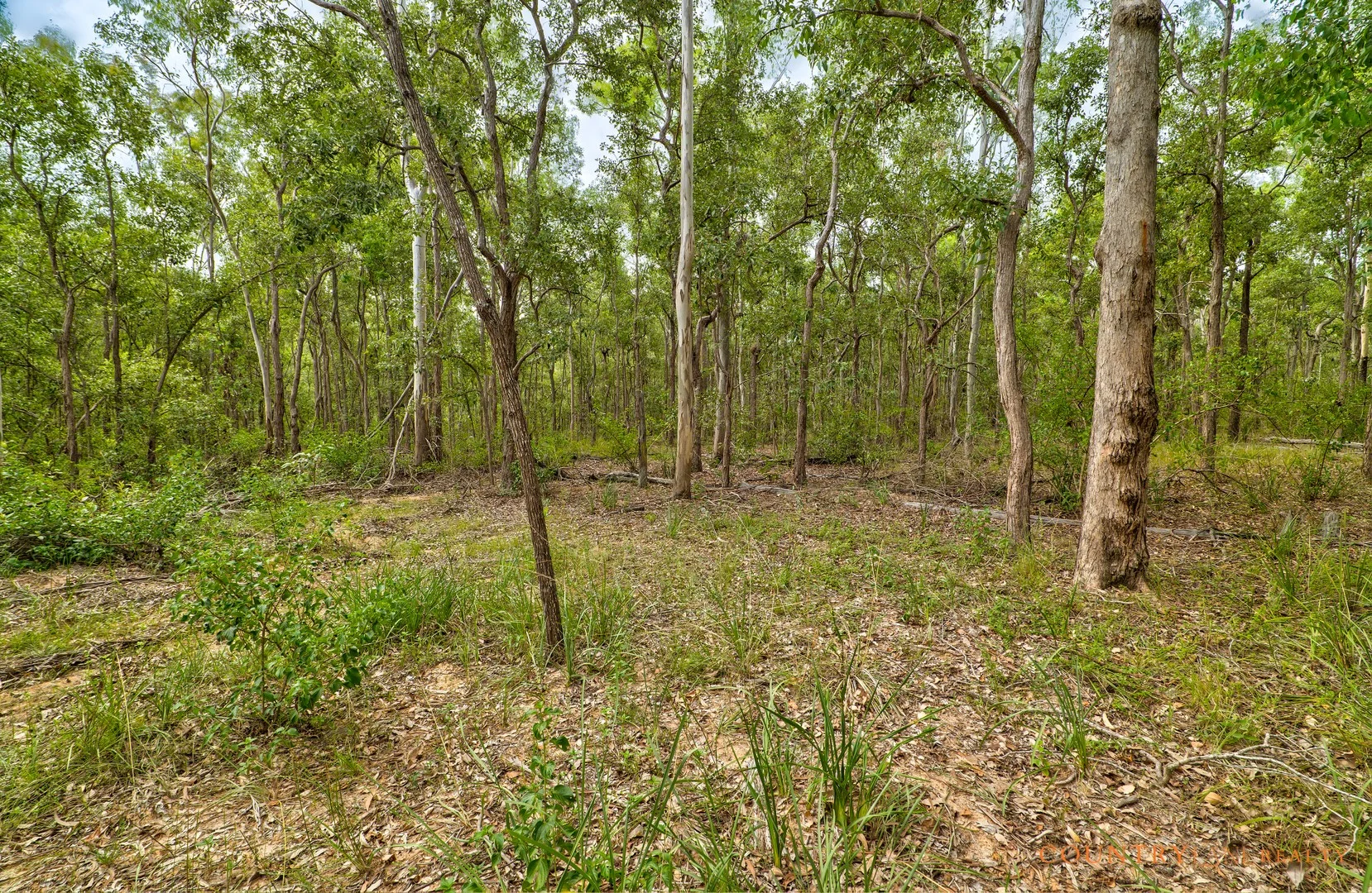 Additional image 4 of Lot 67 Laurel St, Esk QLD 4312