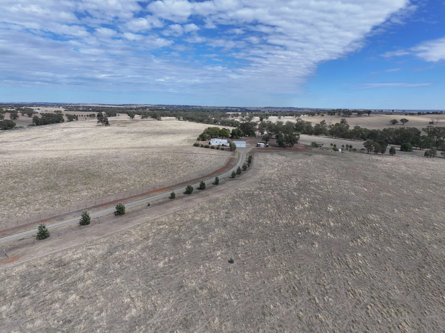 Additional image 3 of 1274 Canola Way, Marrar NSW 2652