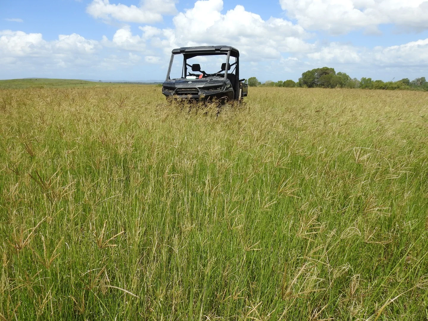 Lot 119 Ellangowan Myrtle Creek Road, Ellangowan NSW 2470