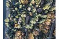 Additional image 3 of 5791 N Lake Cushman Rd, Hoodsport, WA, 98548