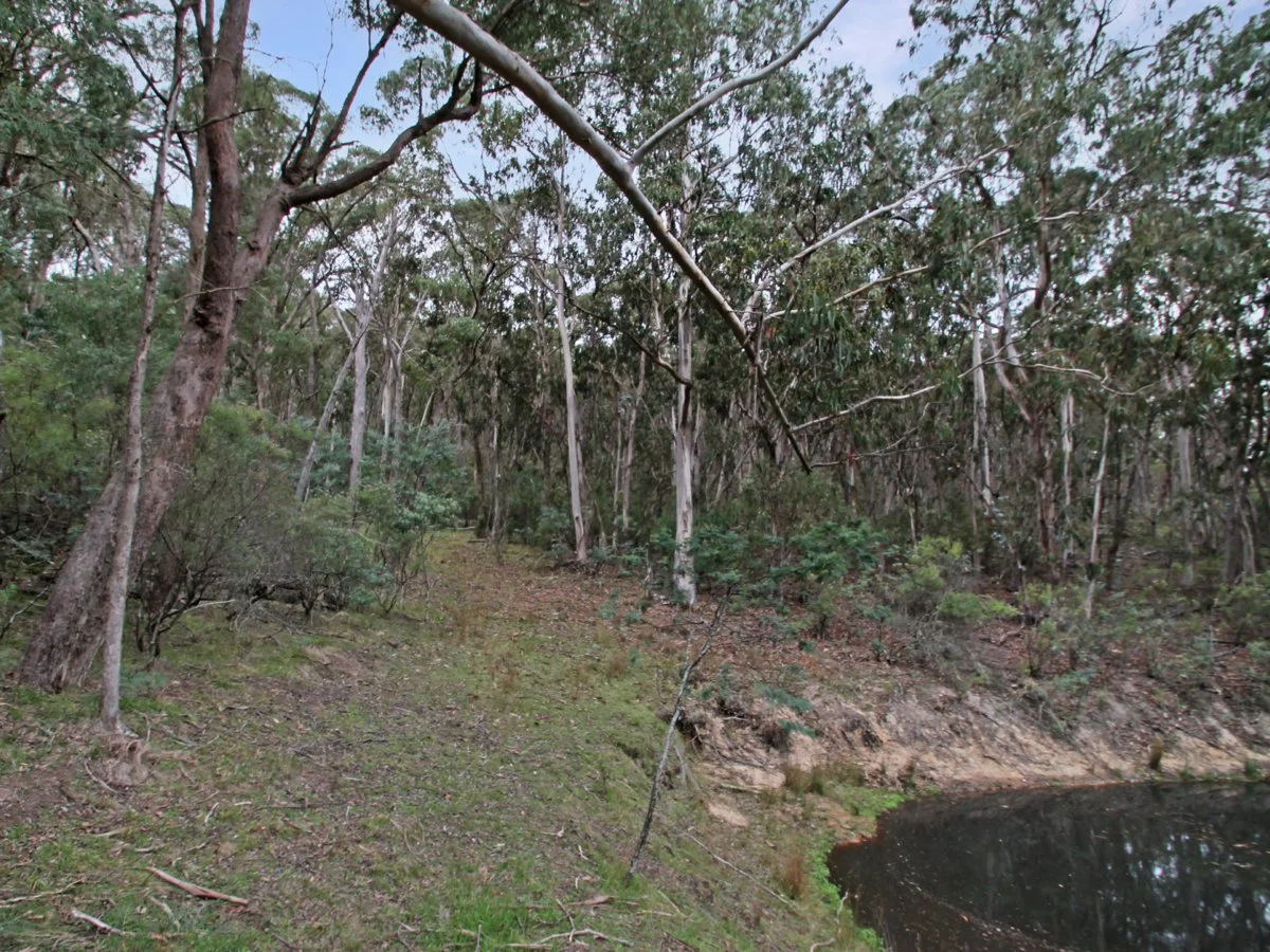Additional image 13 of 135 Kangaroo Track, Omeo VIC 3898