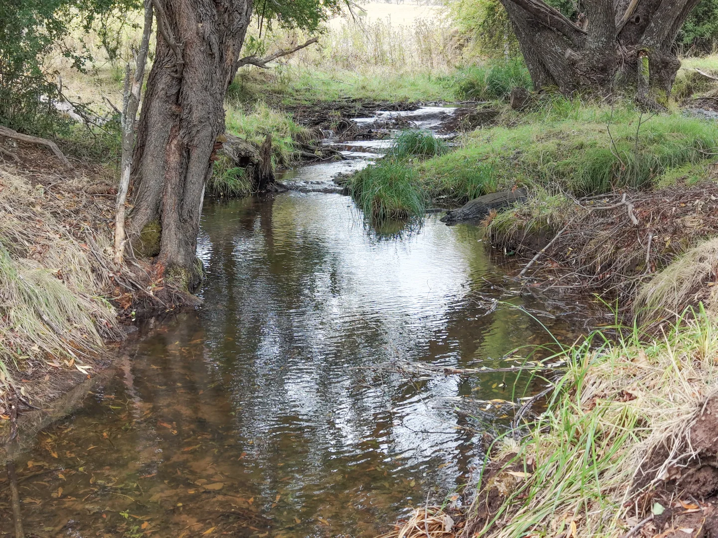 Additional image 24 of 155 Shanks Lane, Boorolite VIC 3723