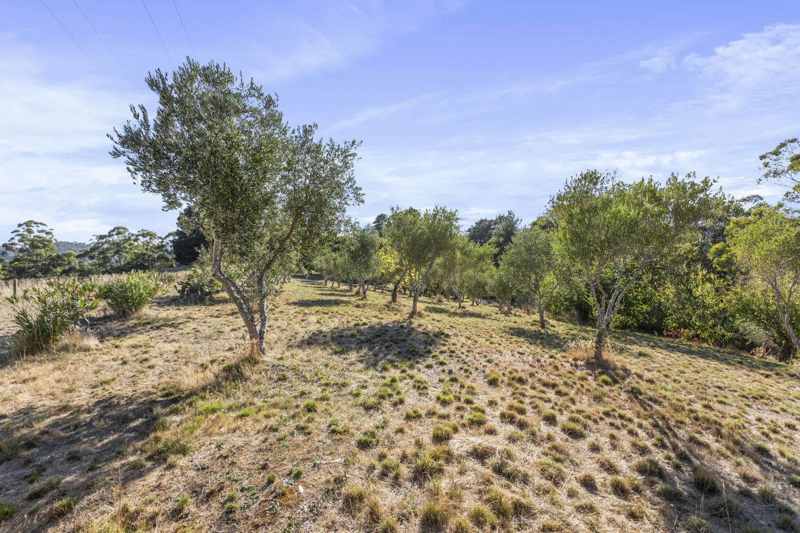 261 Range Road, Basket Range SA 5138 photo 4