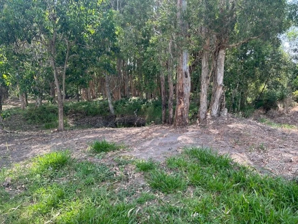 Additional image 2 of D'Aguilar QLD 4514