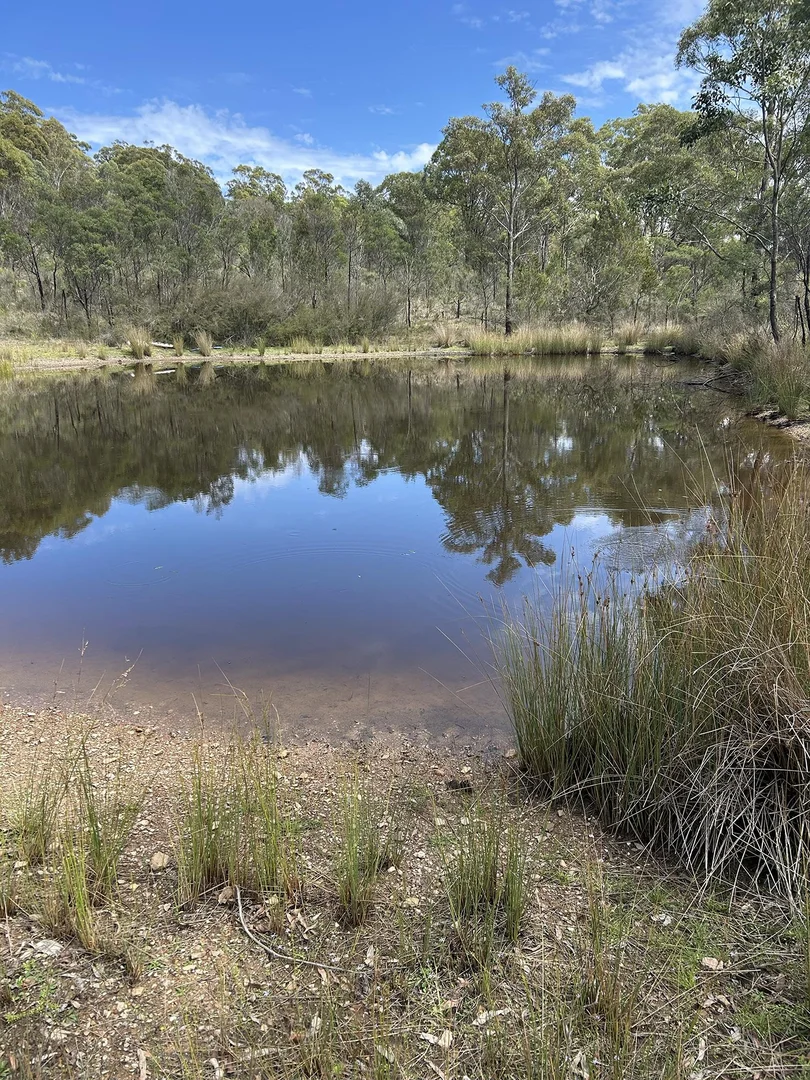 Additional image 7 of 50 Tiyces Lane, Boxers Creek NSW 2580