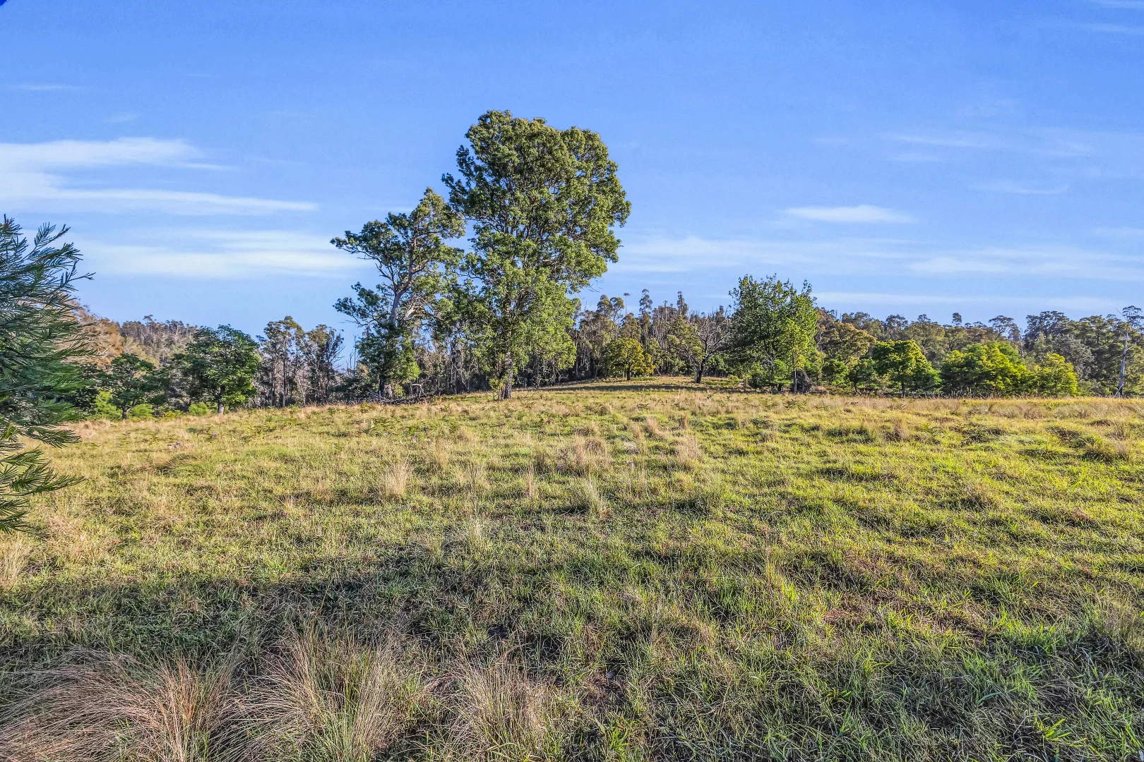 Additional image 13 of 718 Yowrie Road, Yowrie NSW 2550