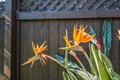 Additional image 45 of 1573 Castro St, San Leandro, CA, 94577
