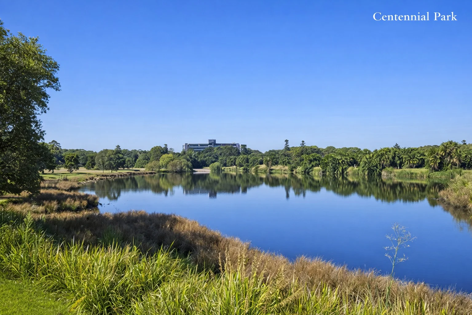 Additional image 10 of 22/121-125 Cook Road, Centennial Park NSW 2021