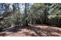 Additional image 16 of Yuletide Way, Georgetown, CA, 95634