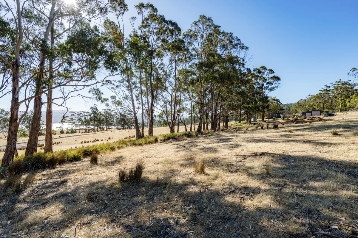 Additional image 16 of 4 D'Entrecasteaux Drive, North Bruny TAS 7150