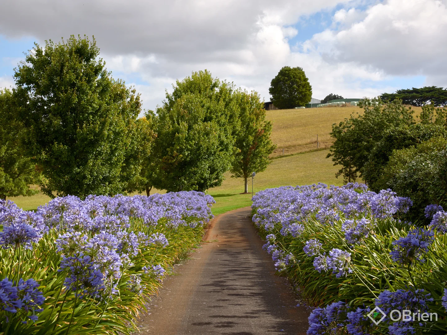 Additional image 23 of 62 Palmer Road, Jindivick VIC 3818