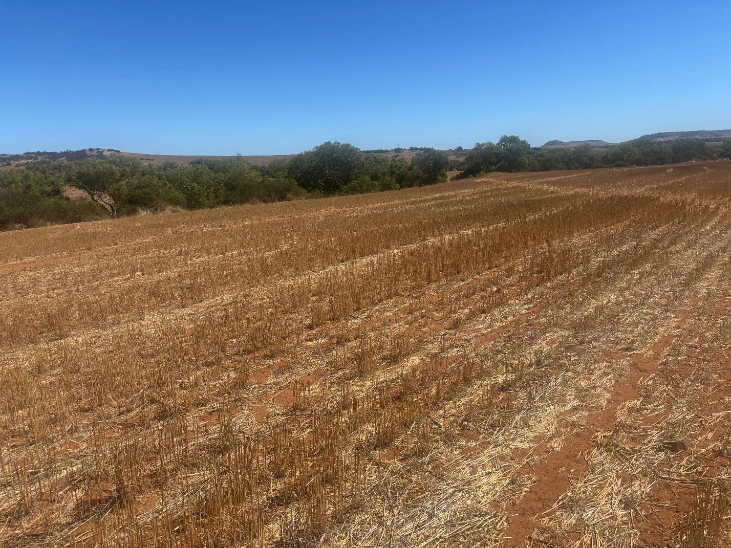 Lot 1 Giles Road, Moonyoonooka WA 6532