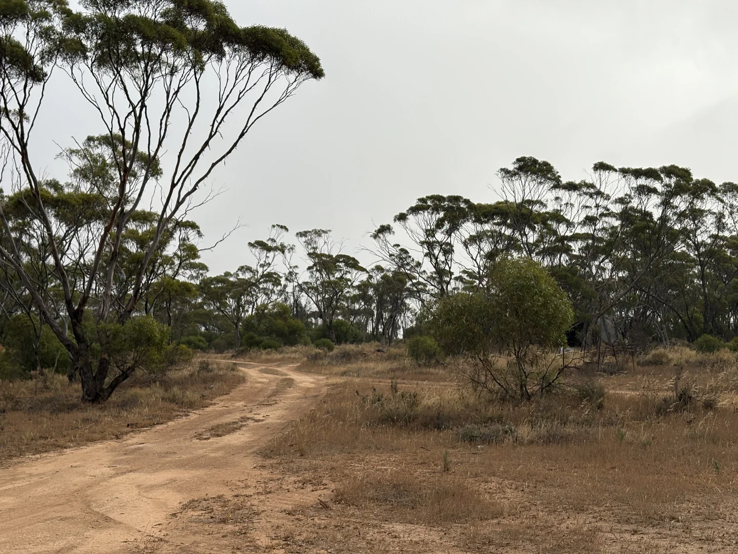 Additional image 14 of Lot 104 Cant Road, Kimba SA 5641