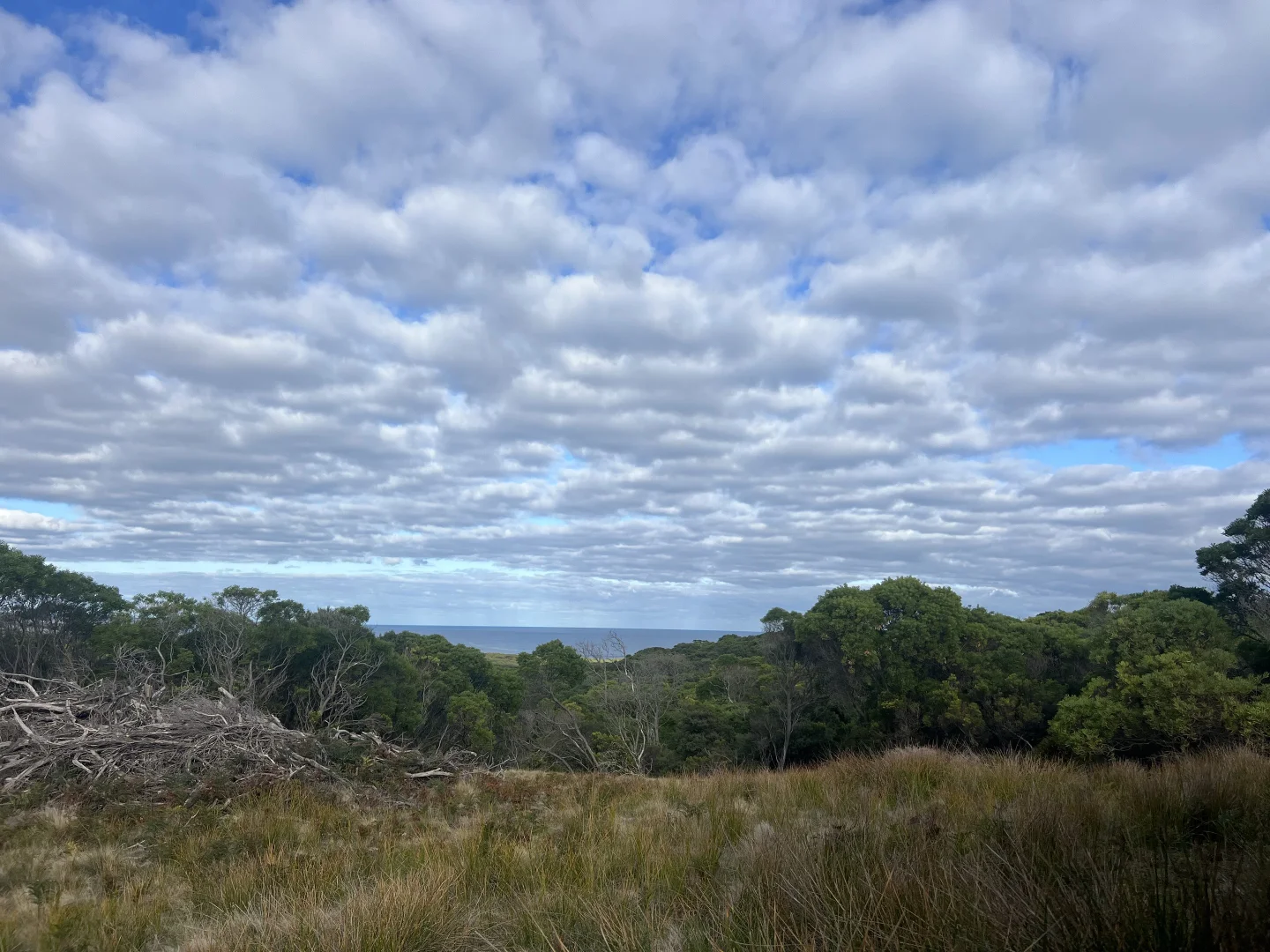 Additional image 7 of 274 South Road, Nugara TAS 7256