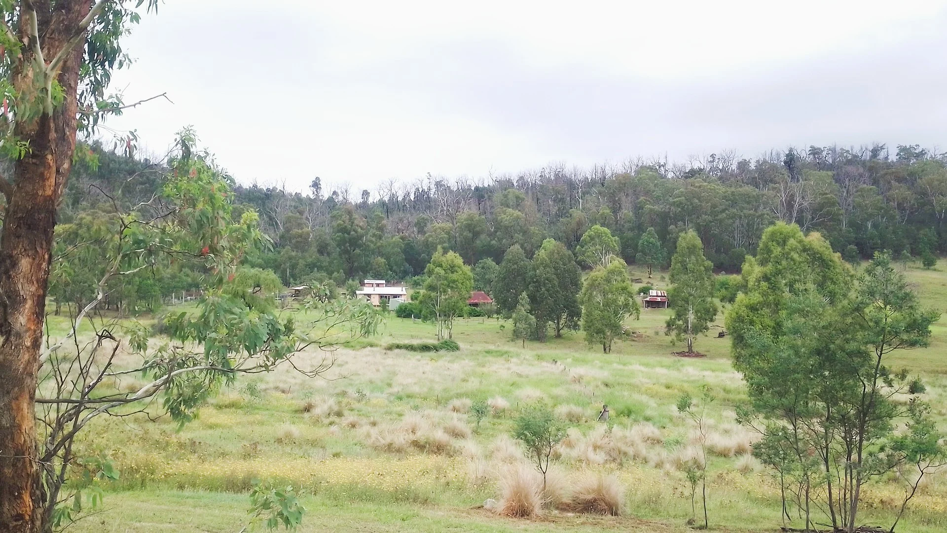 Additional image 3 of 1196 Nullo Mountain Rd, Nullo Mountain NSW 2849