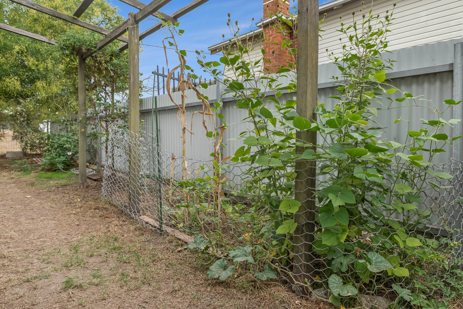 Additional image 15 of 5 Erindee Avenue, Tenterfield NSW 2372