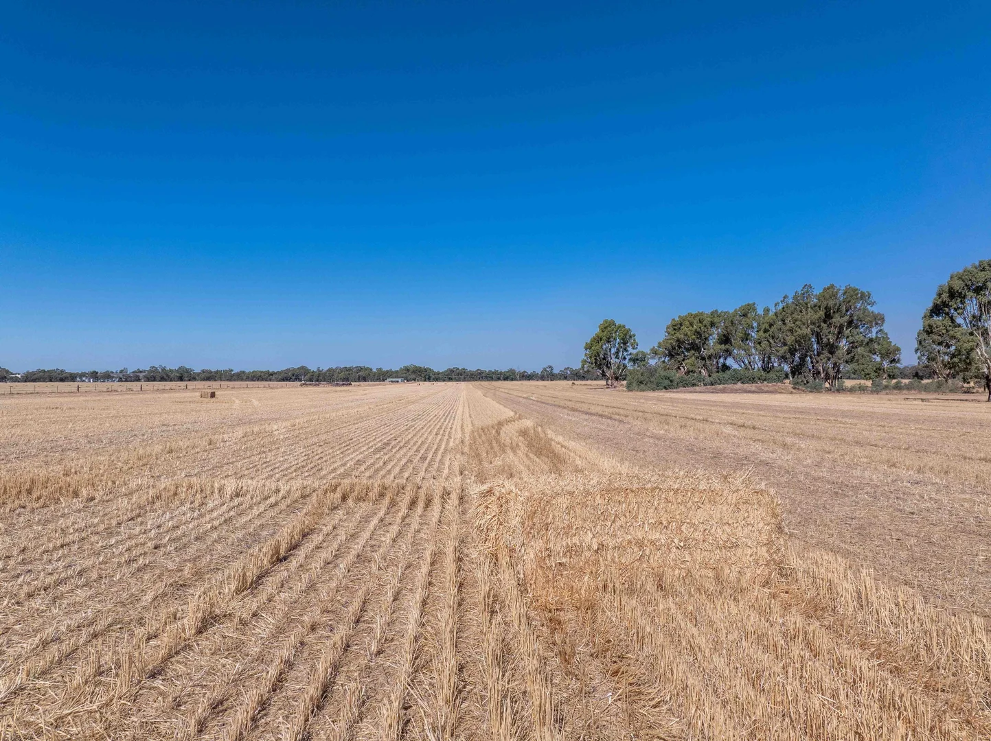Additional image 6 of 96 Odwyer Road, Tabilk VIC 3607