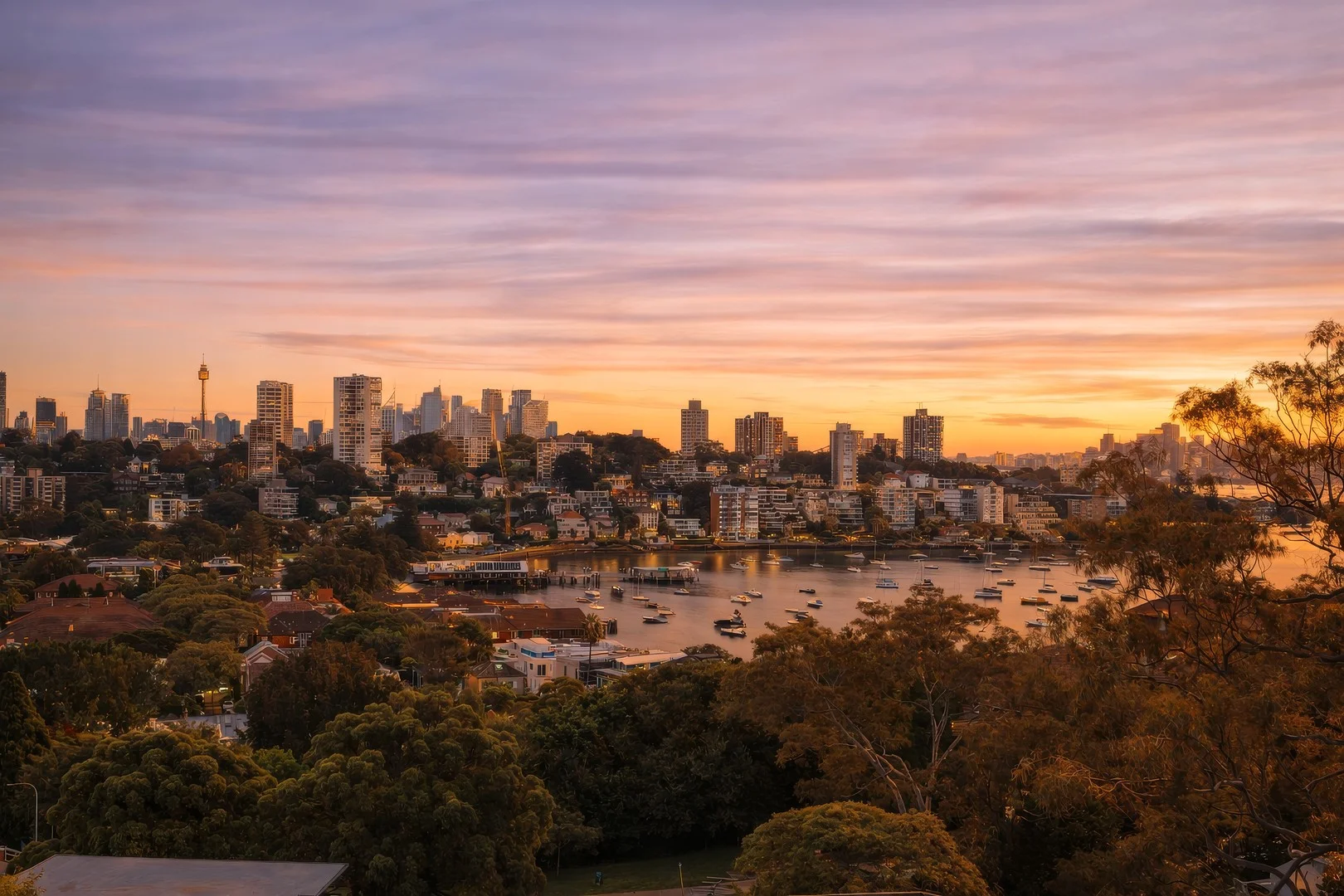11/38A Fairfax Road, Bellevue Hill NSW 2023