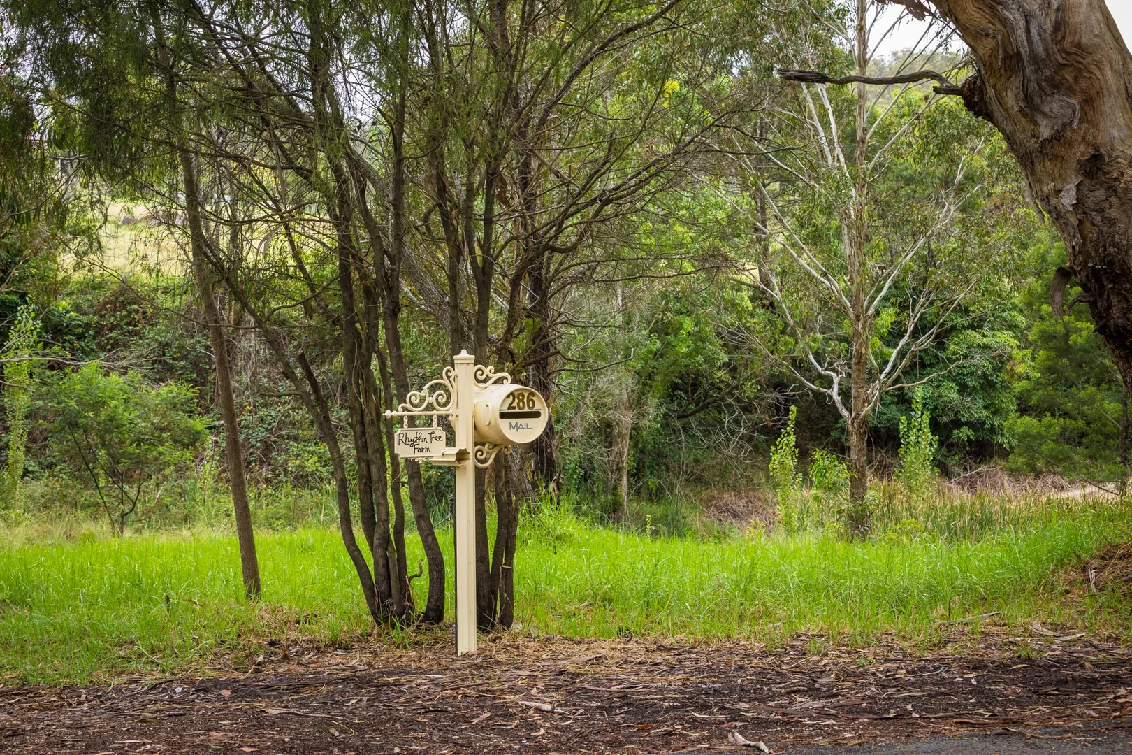 Additional image 63 of 286 Bald Hills Road, Bald Hills NSW 2549
