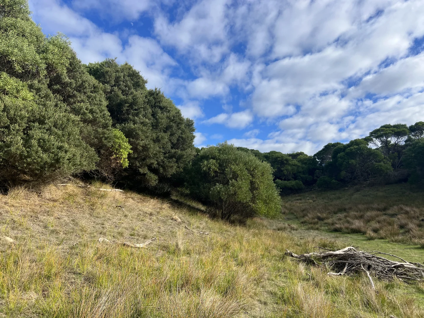 Additional image 5 of 274 South Road, Nugara TAS 7256
