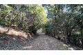 Additional image 22 of Yuletide Way, Georgetown, CA, 95634