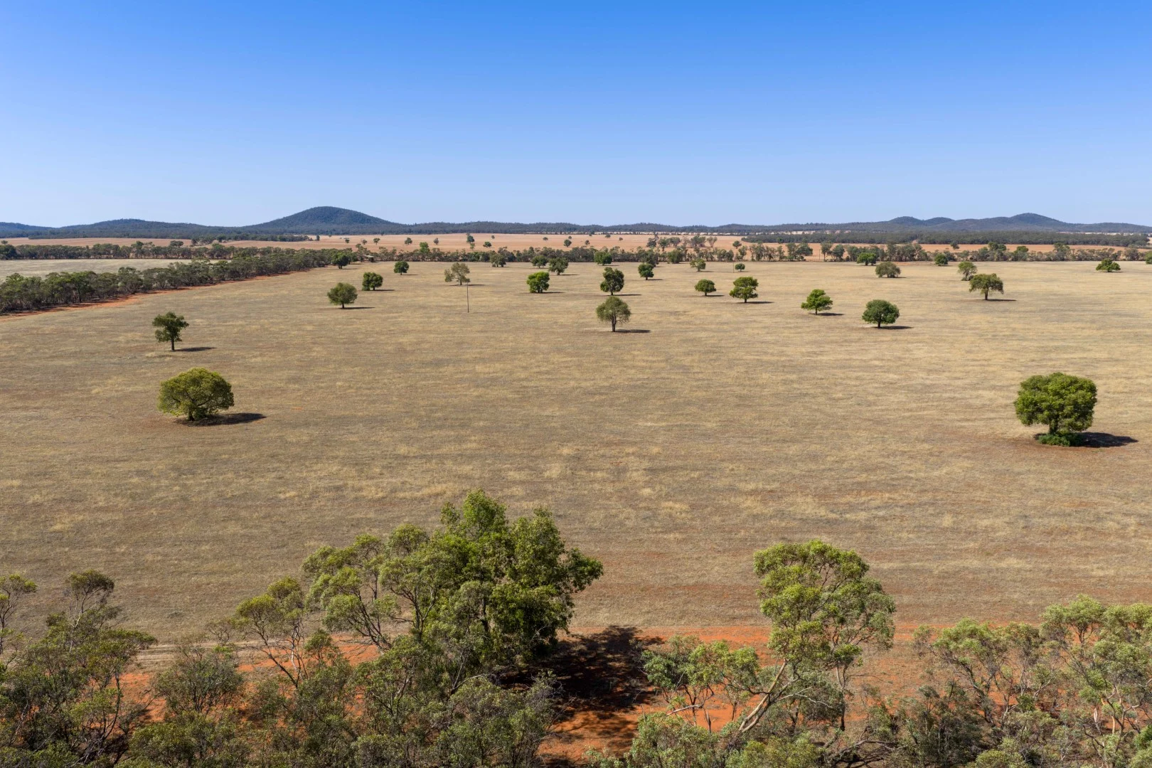Additional image 3 of 83 Cornells Road, Condobolin NSW 2877