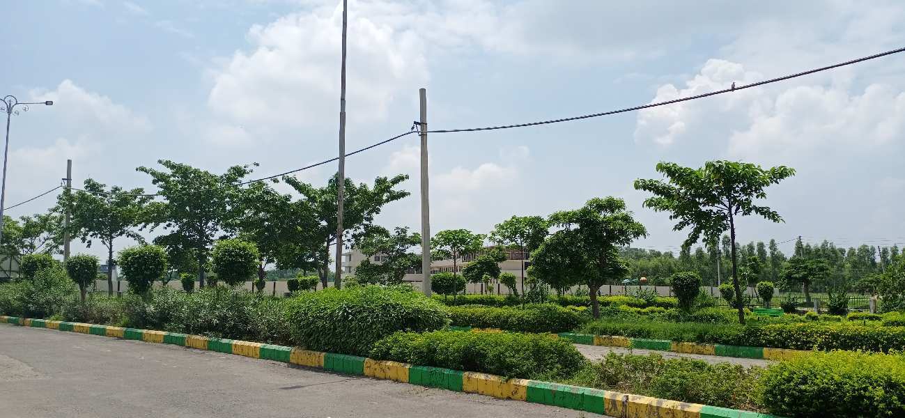 Jandiali, Ludhiana