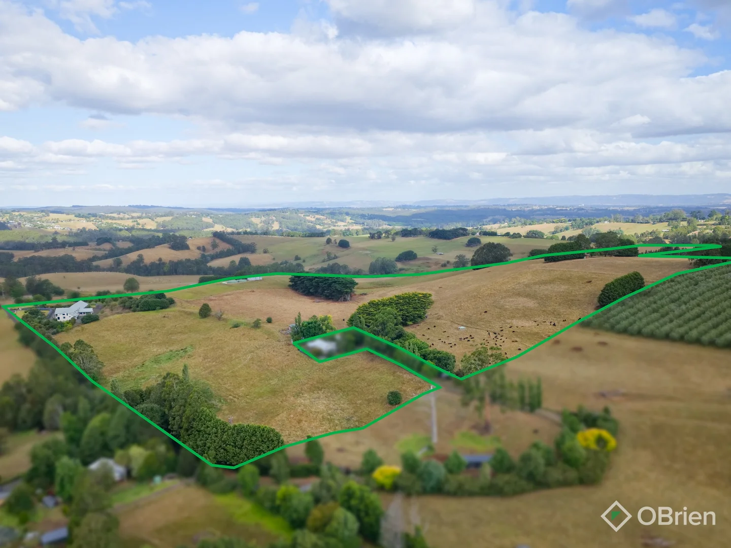 Additional image 27 of 62 Palmer Road, Jindivick VIC 3818