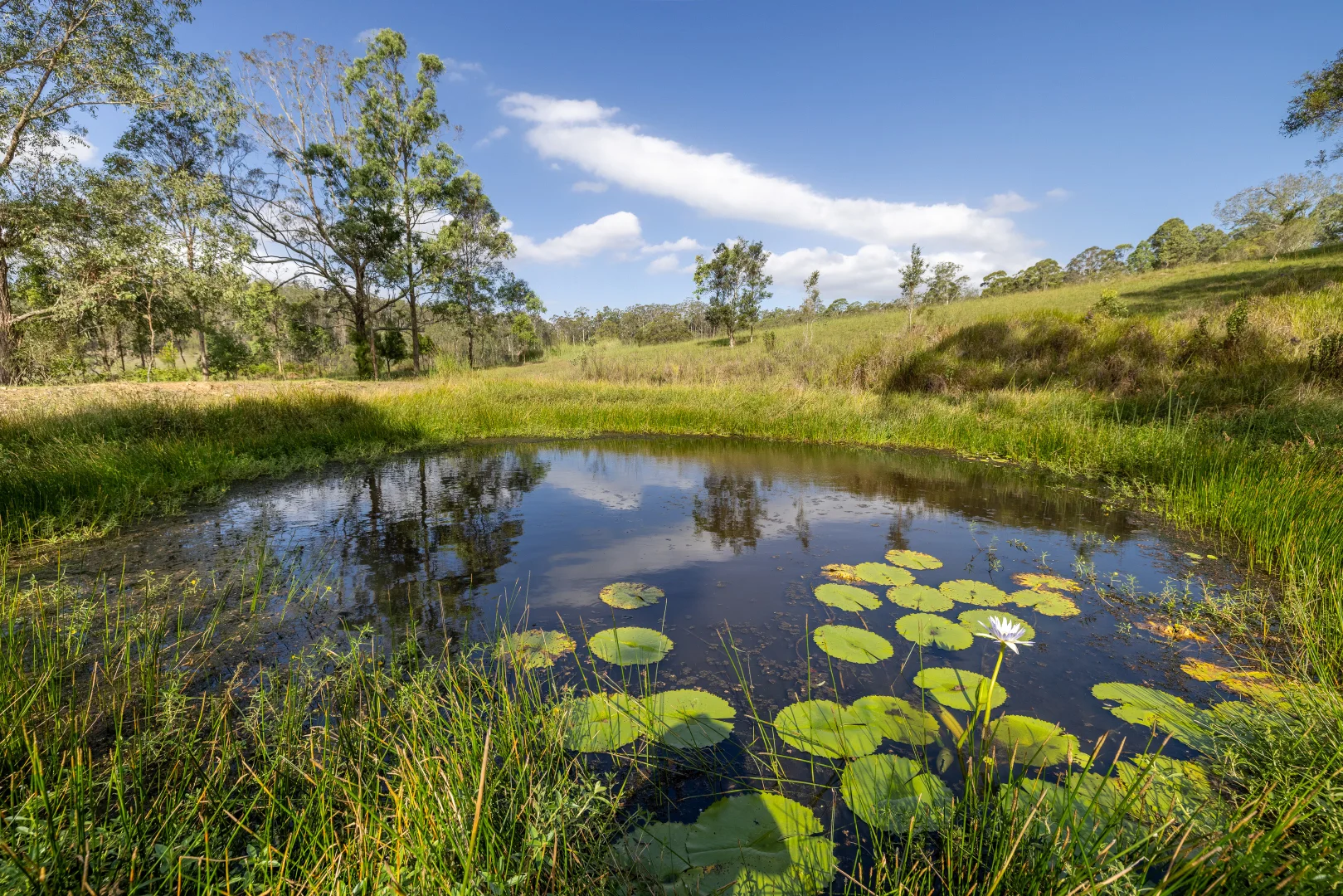 Additional image 20 of 97 Bulby Close, Wang Wauk NSW 2423