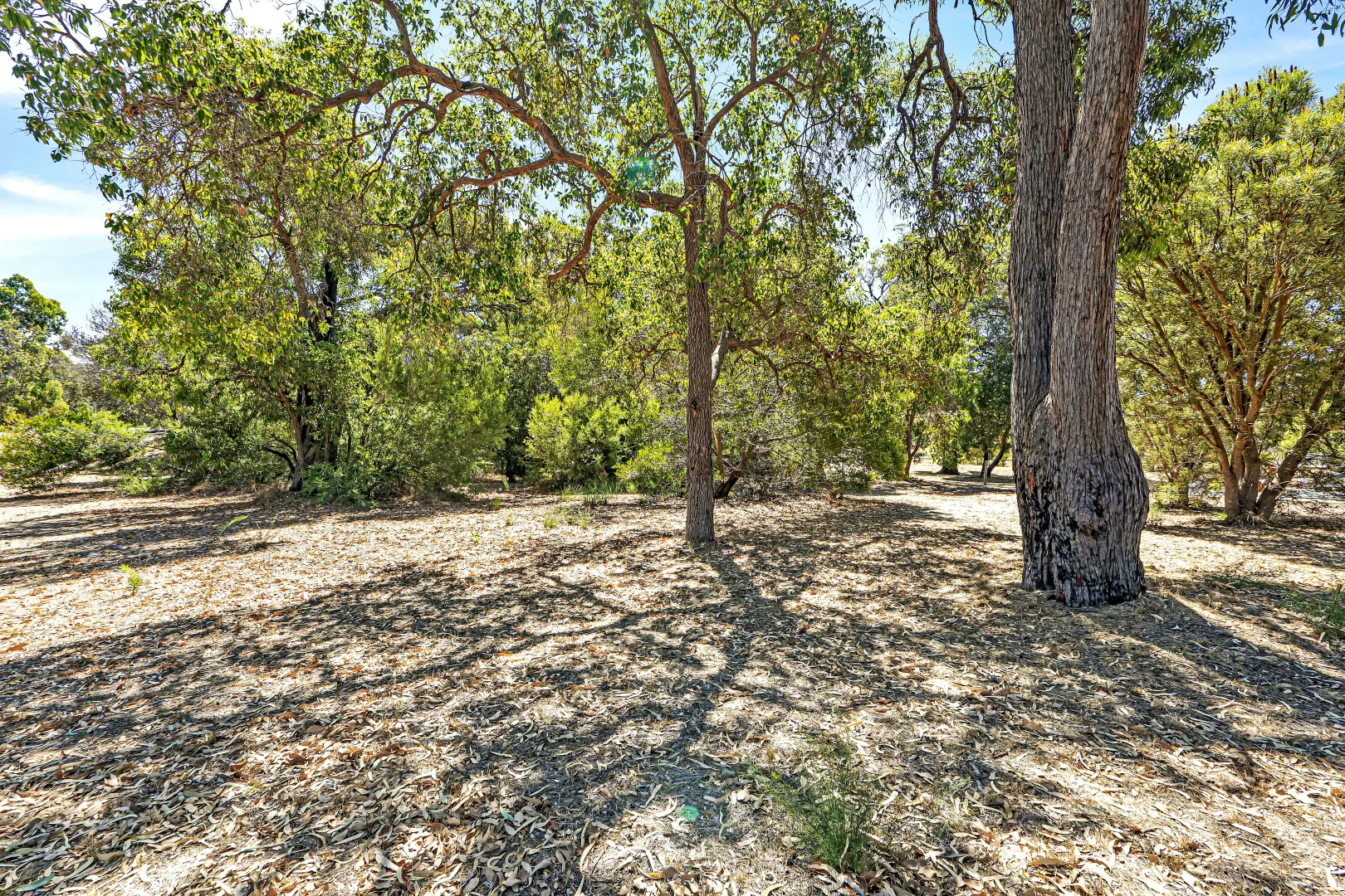 Additional image 3 of 18 Heathridge Road, Gelorup WA 6230