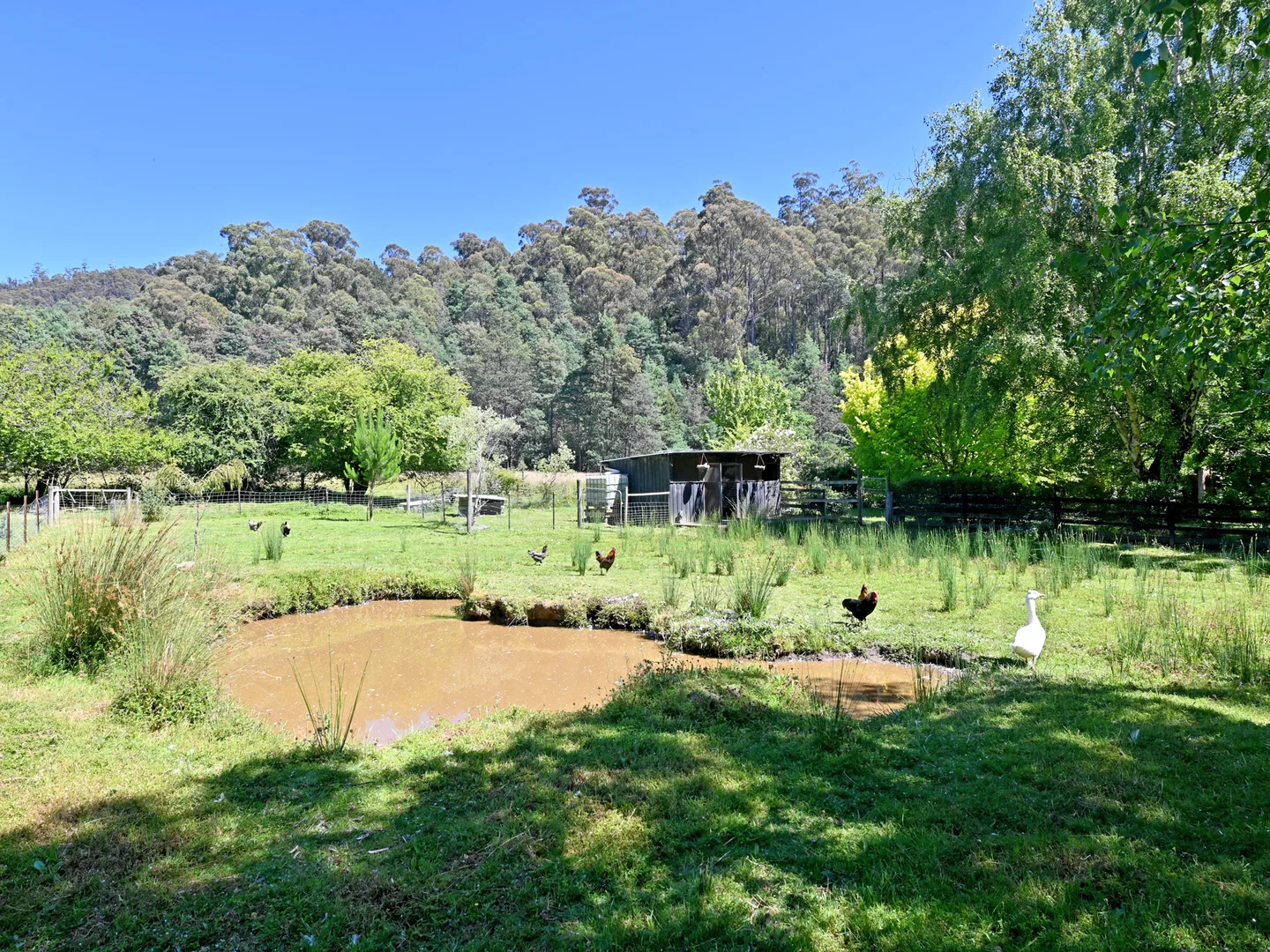 Additional image 25 of 92 Pelverata Road, Sandfly TAS 7150