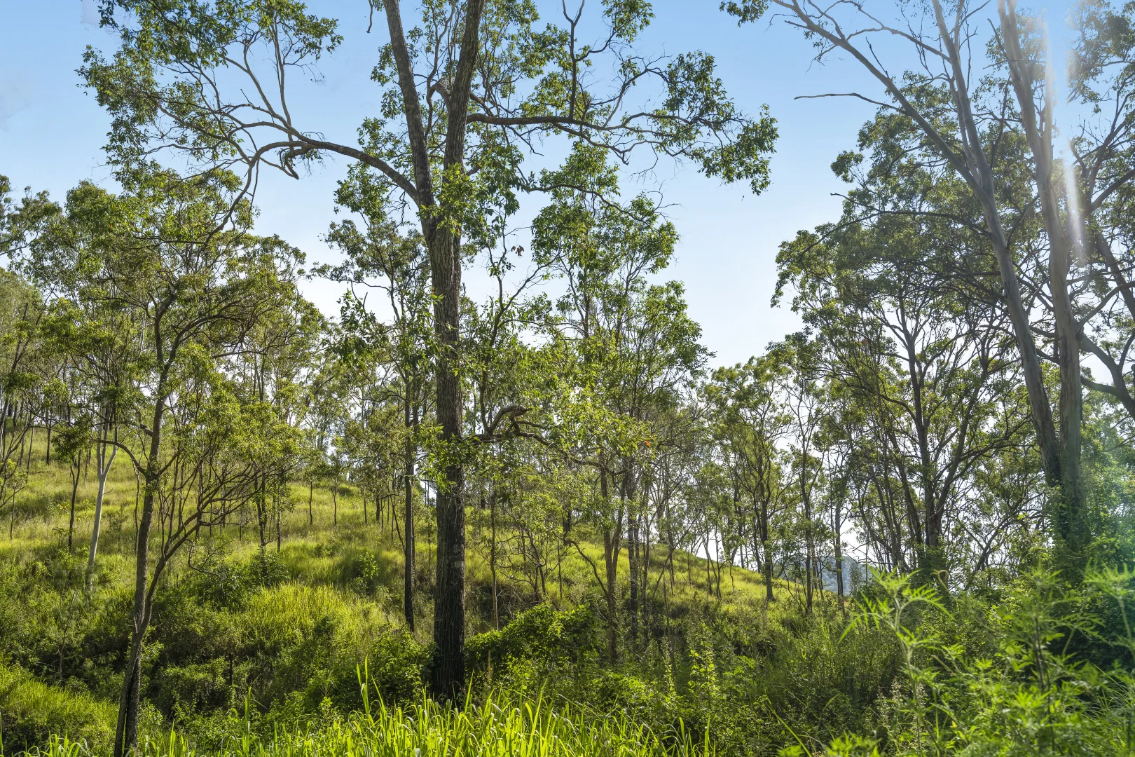 Additional image 18 of 1554 Duck Creek Road, Kerry QLD 4285