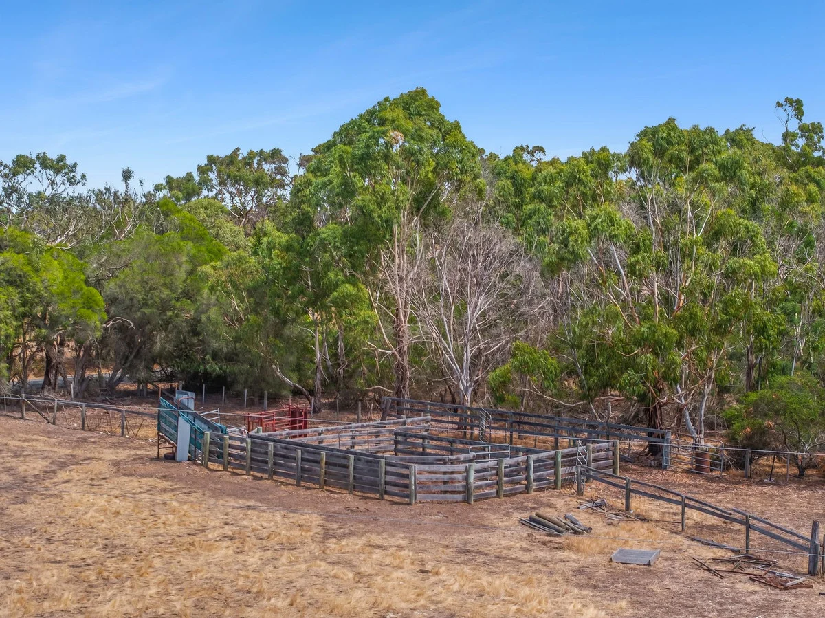 Additional image 6 of 1560 Blackgate Road, Freshwater Creek VIC 3217