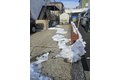 Additional image 14 of 88 Haverhill Ave Unit 2, Woodland Park, NJ, 07424