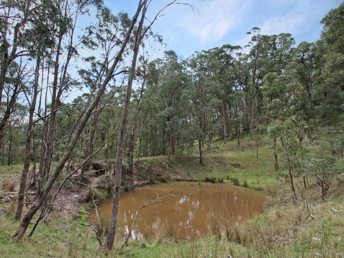 Additional image 8 of 135 Kangaroo Track, Omeo VIC 3898