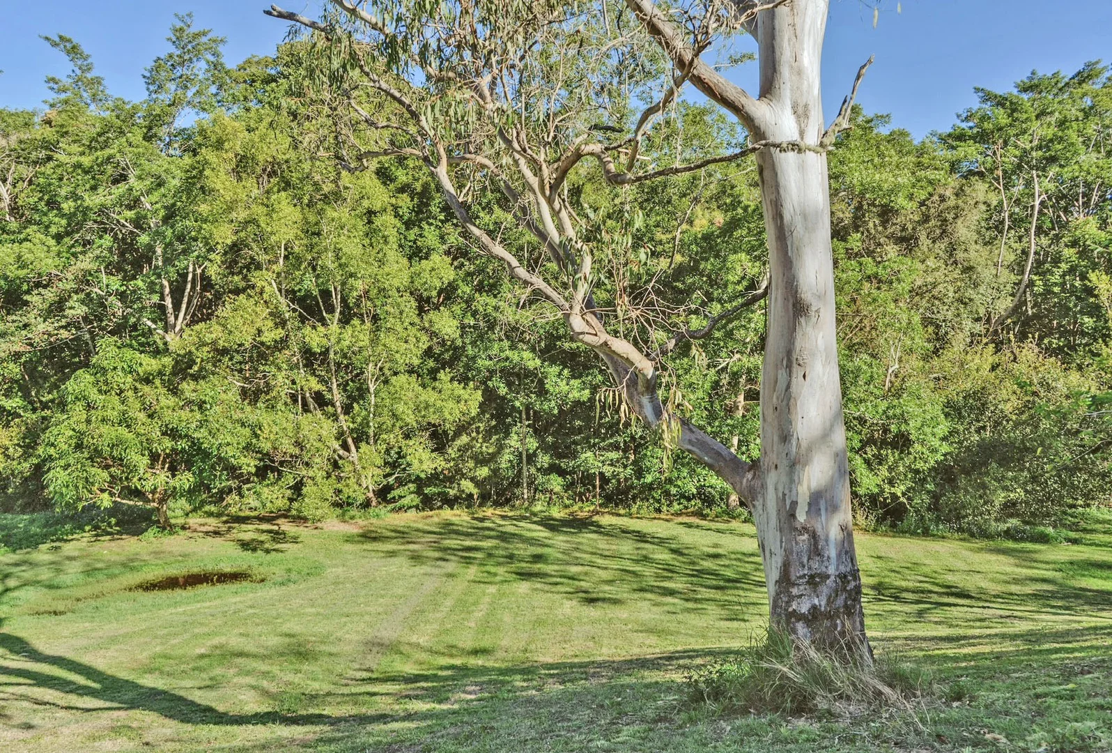 Additional image 31 of 61 Mooloolah Meadows Drive, Mooloolah Valley QLD 4553