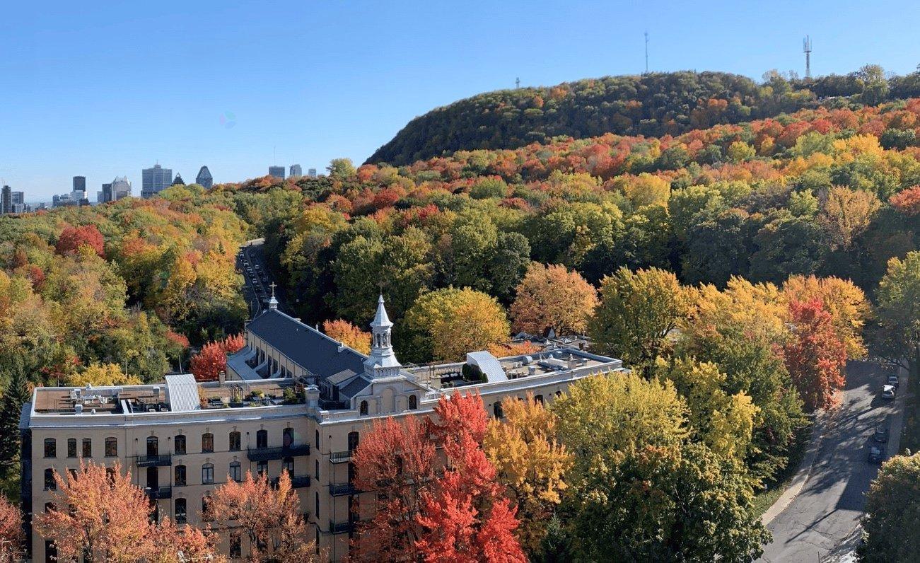 55 Ch. de la Côte-Ste-Catherine