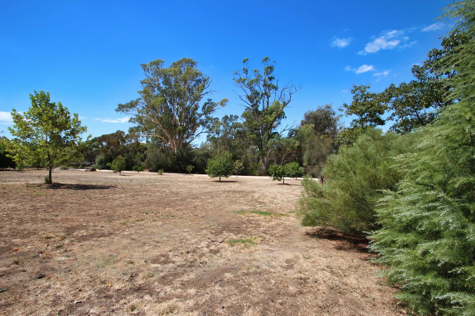 Additional image 6 of Lot 105 West Road, Watervale SA 5452