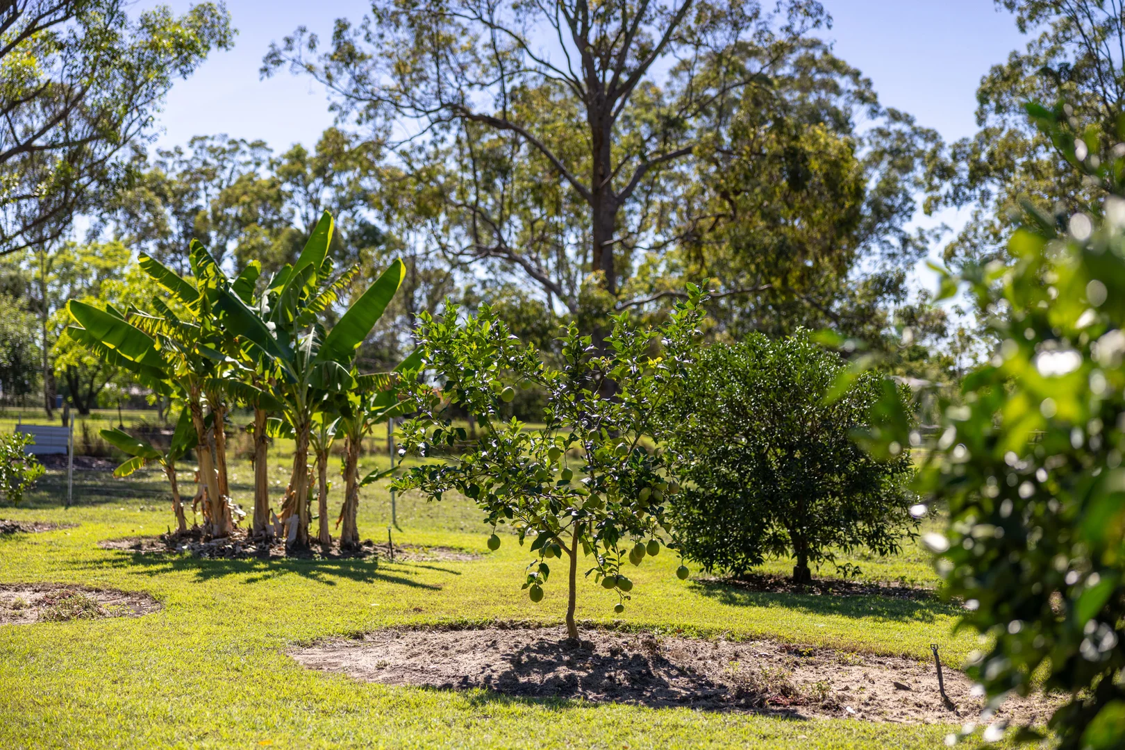 Additional image 7 of 316 Lansdowne Road, Cundletown NSW 2430