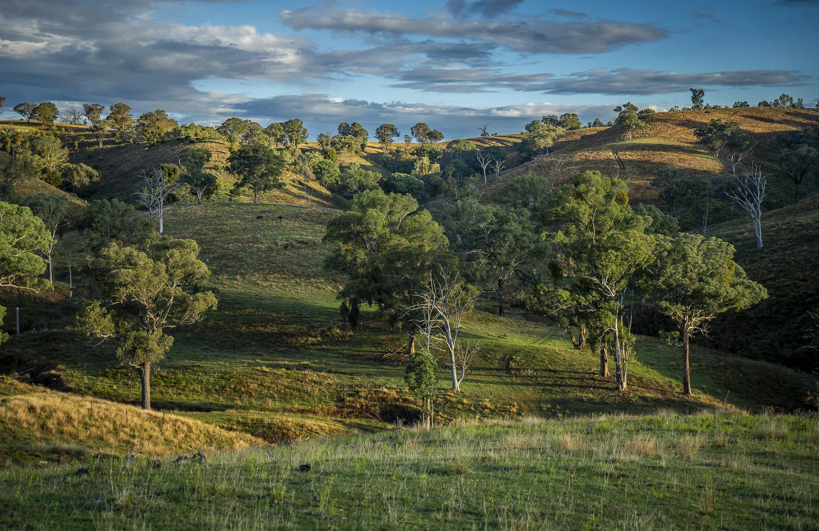 Additional image 7 of 'Coonara' Perrams Road, Ilford NSW 2850