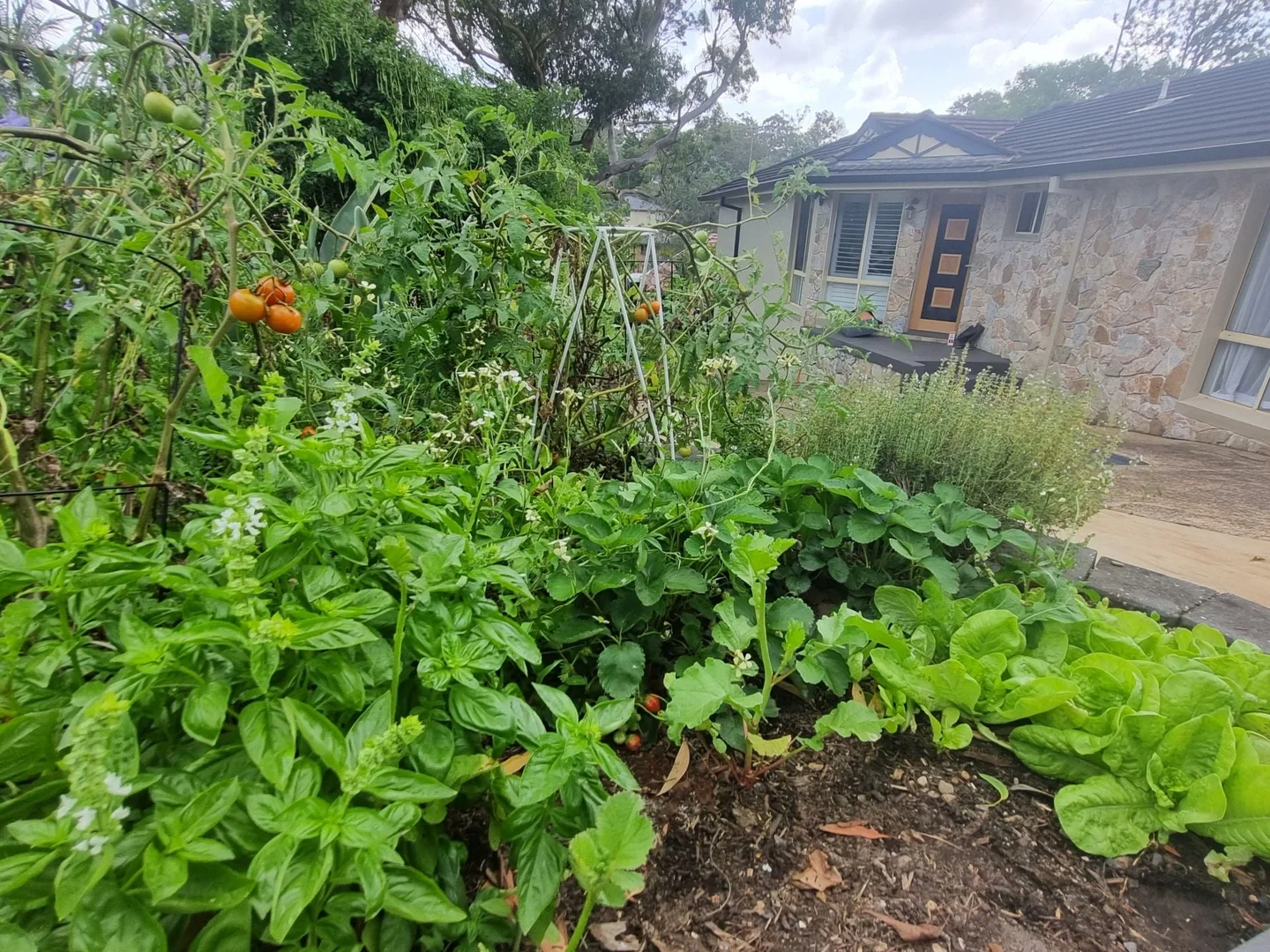 Additional image 28 of 100 Matson Crescent, Miranda NSW 2228