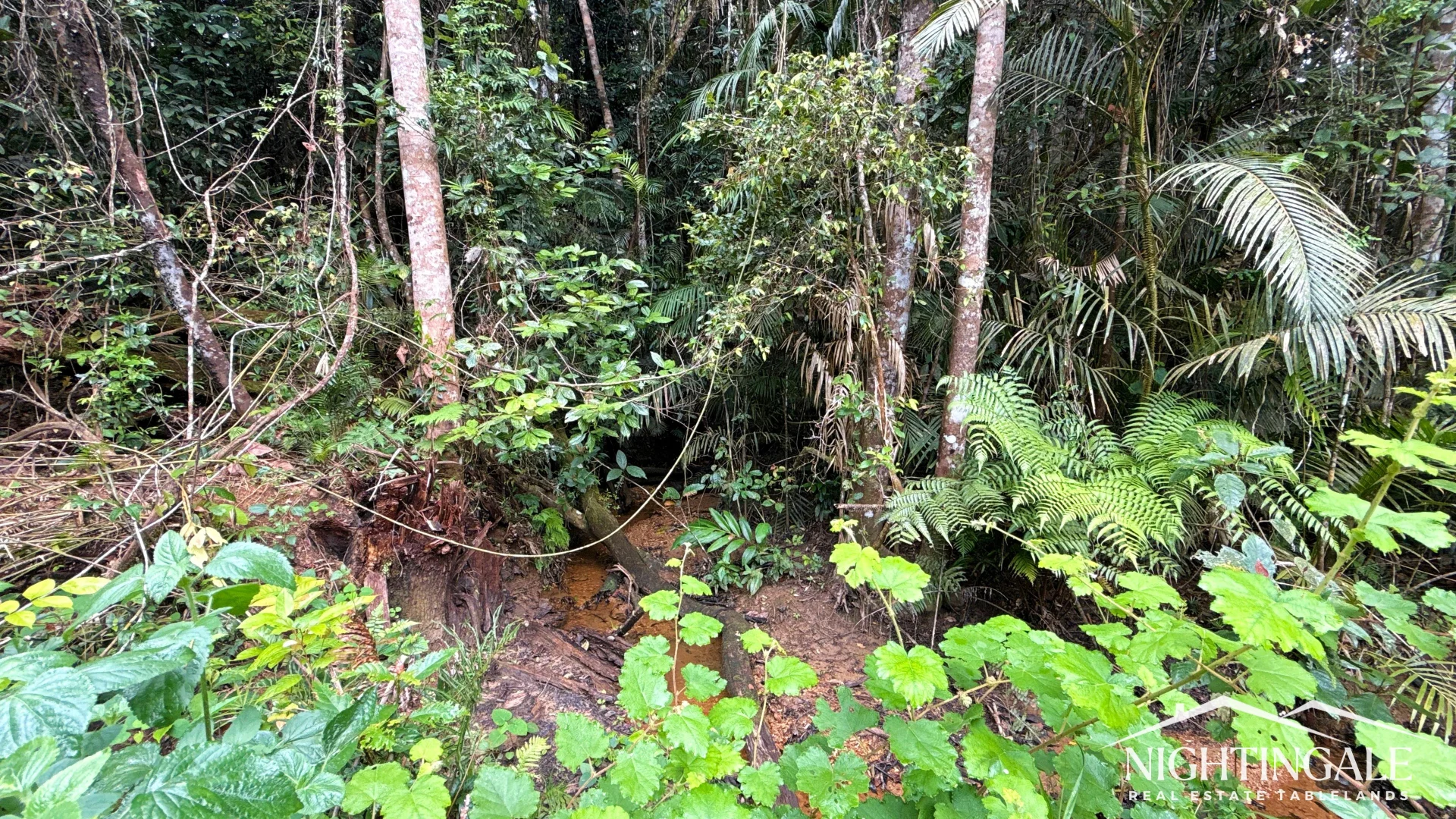 Additional image 7 of Lot 9 Sewell Road, Lake Eacham QLD 4884
