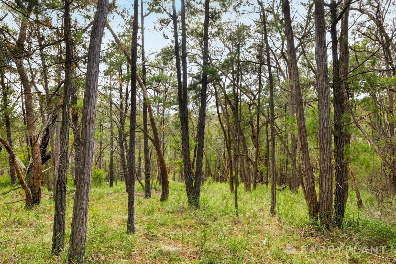 Additional image 2 of 935 Buttermans Track, Christmas Hills VIC 3775