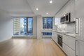 135 Seaport Blvd Apt 1010, Boston, MA, 02210 photo 5