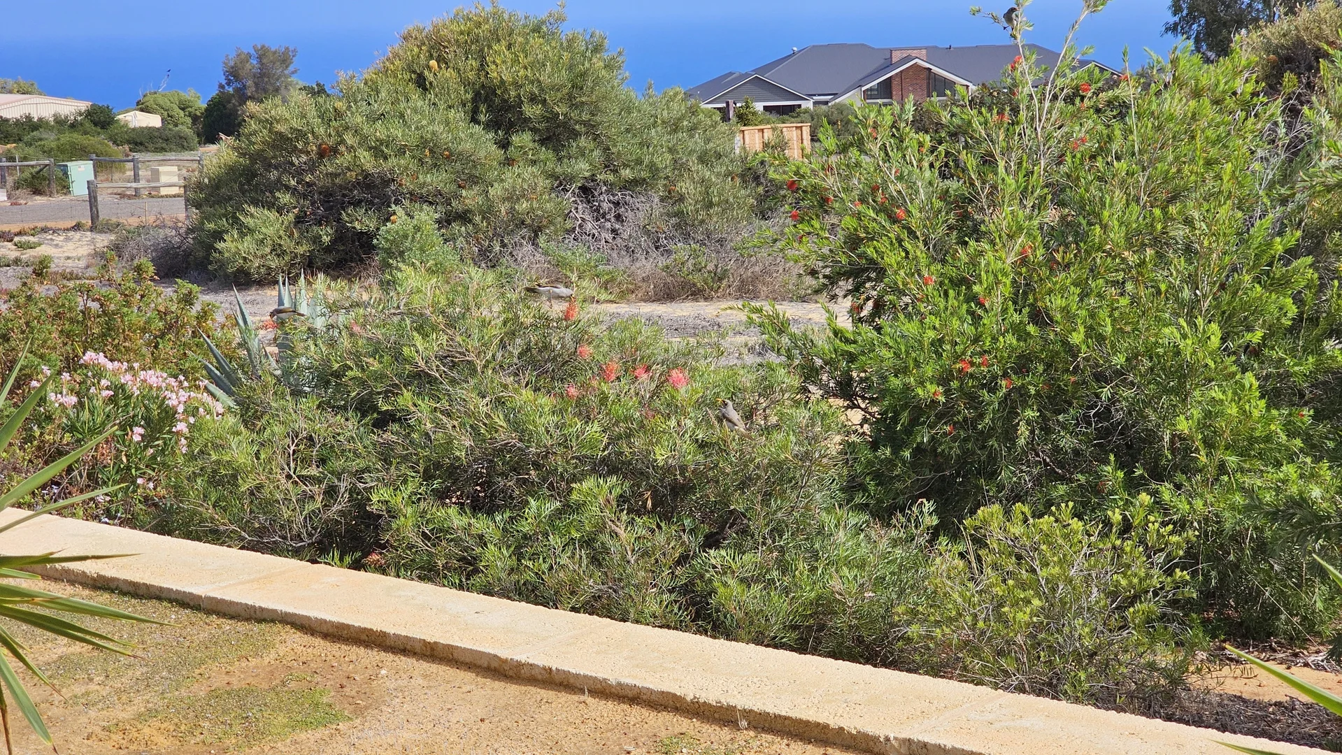 Additional image 18 of 8 Explorer Avenue, Kalbarri WA 6536